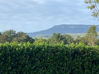 Morning view with cuppa