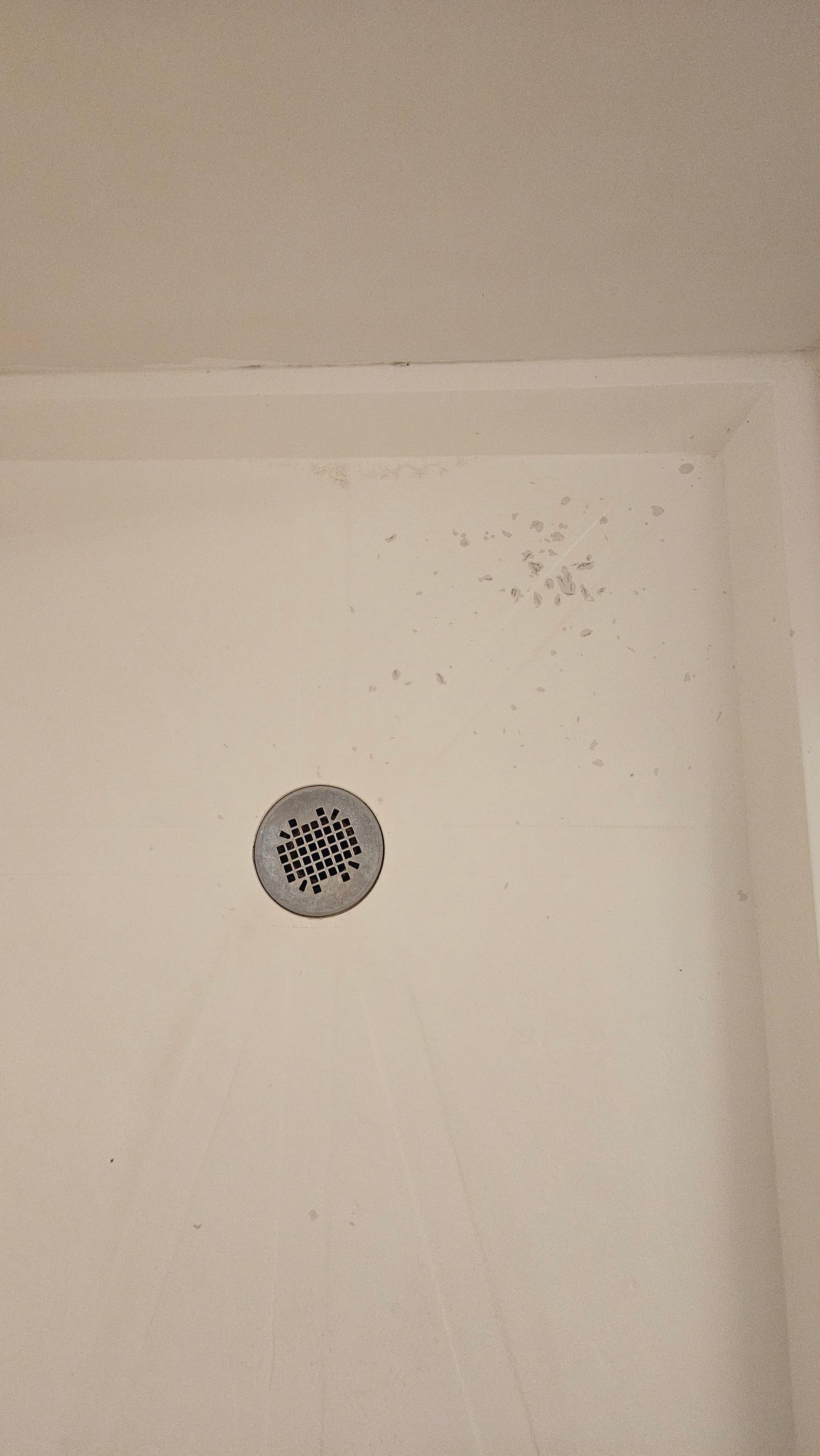 Debris around the shower drain
