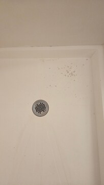 Debris around the shower drain