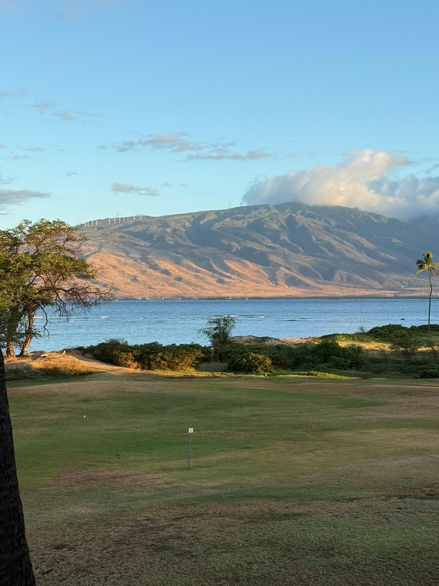 Beautiful view of Maalaea Bay and Puʻu Kukui!