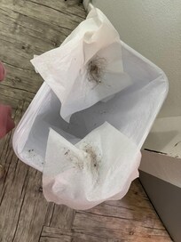 What was swept from the dining/living room area