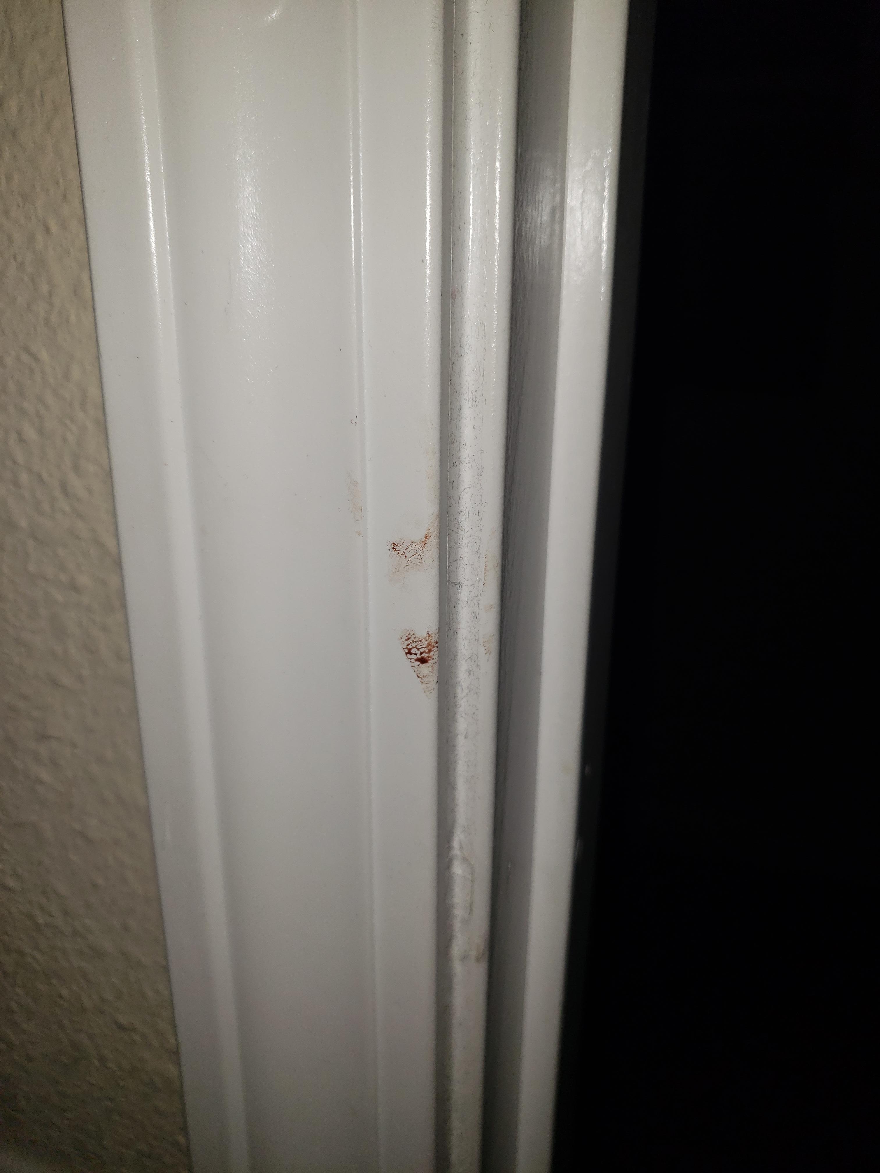 Looks like blood stains to me.