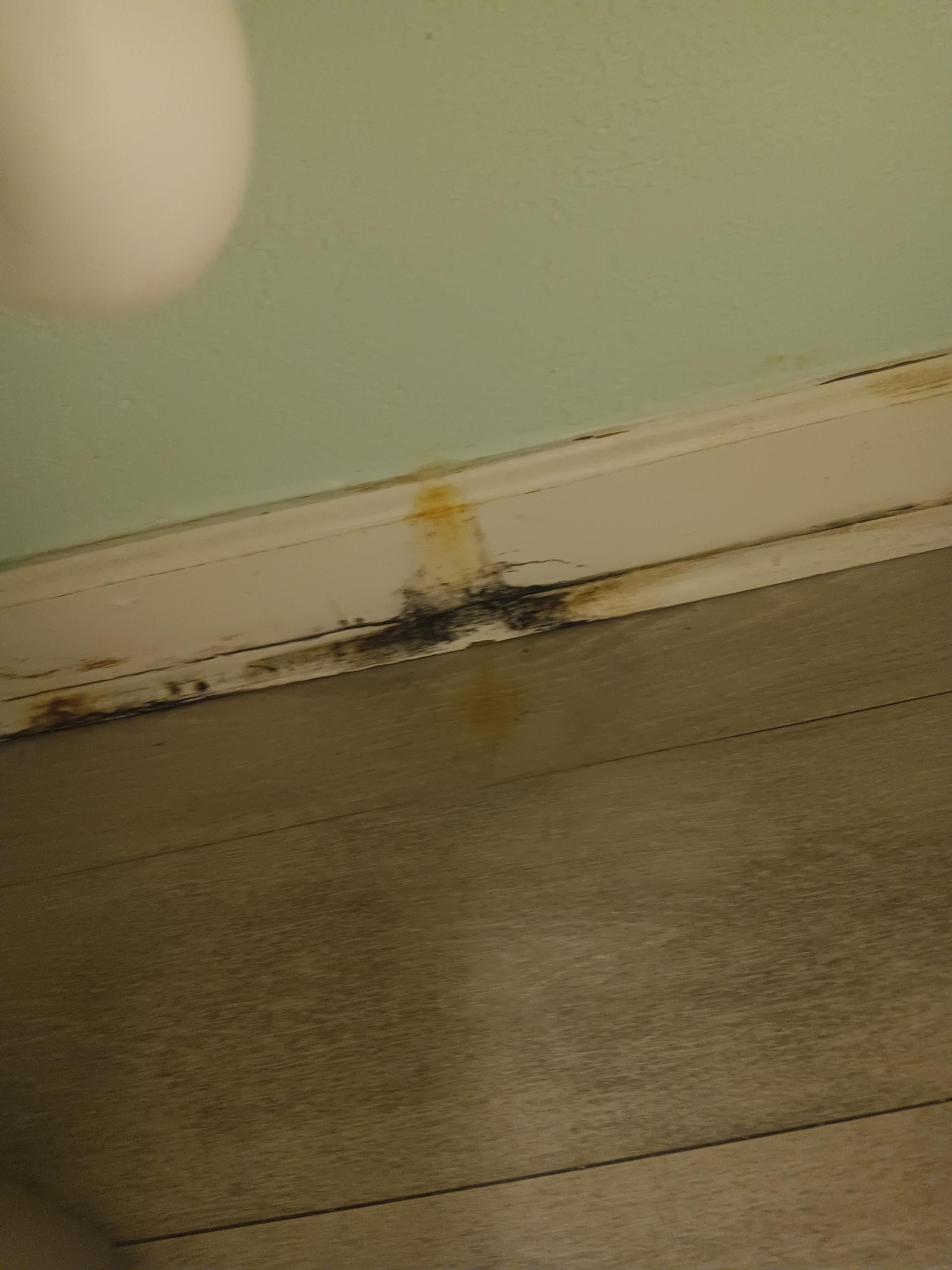 Also under sink