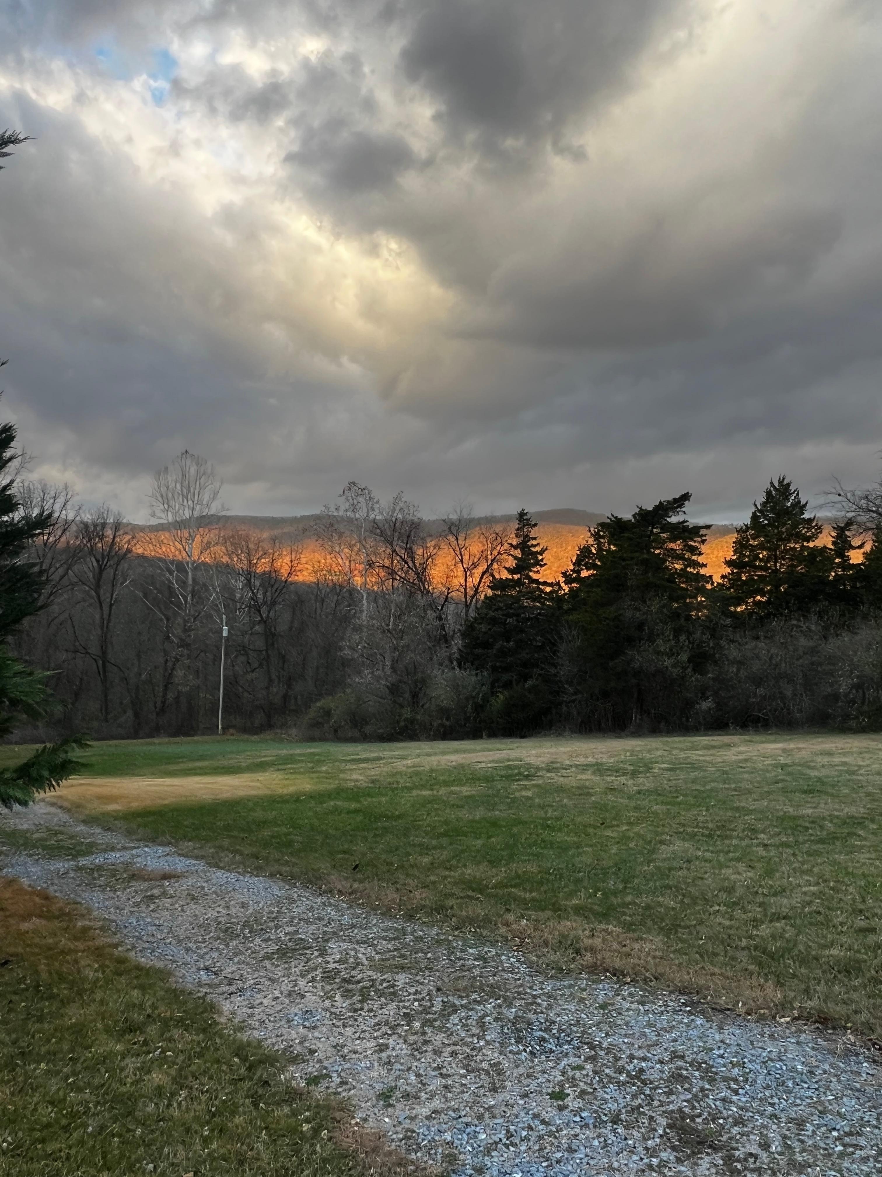 View from are by the home