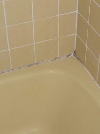mold in tub