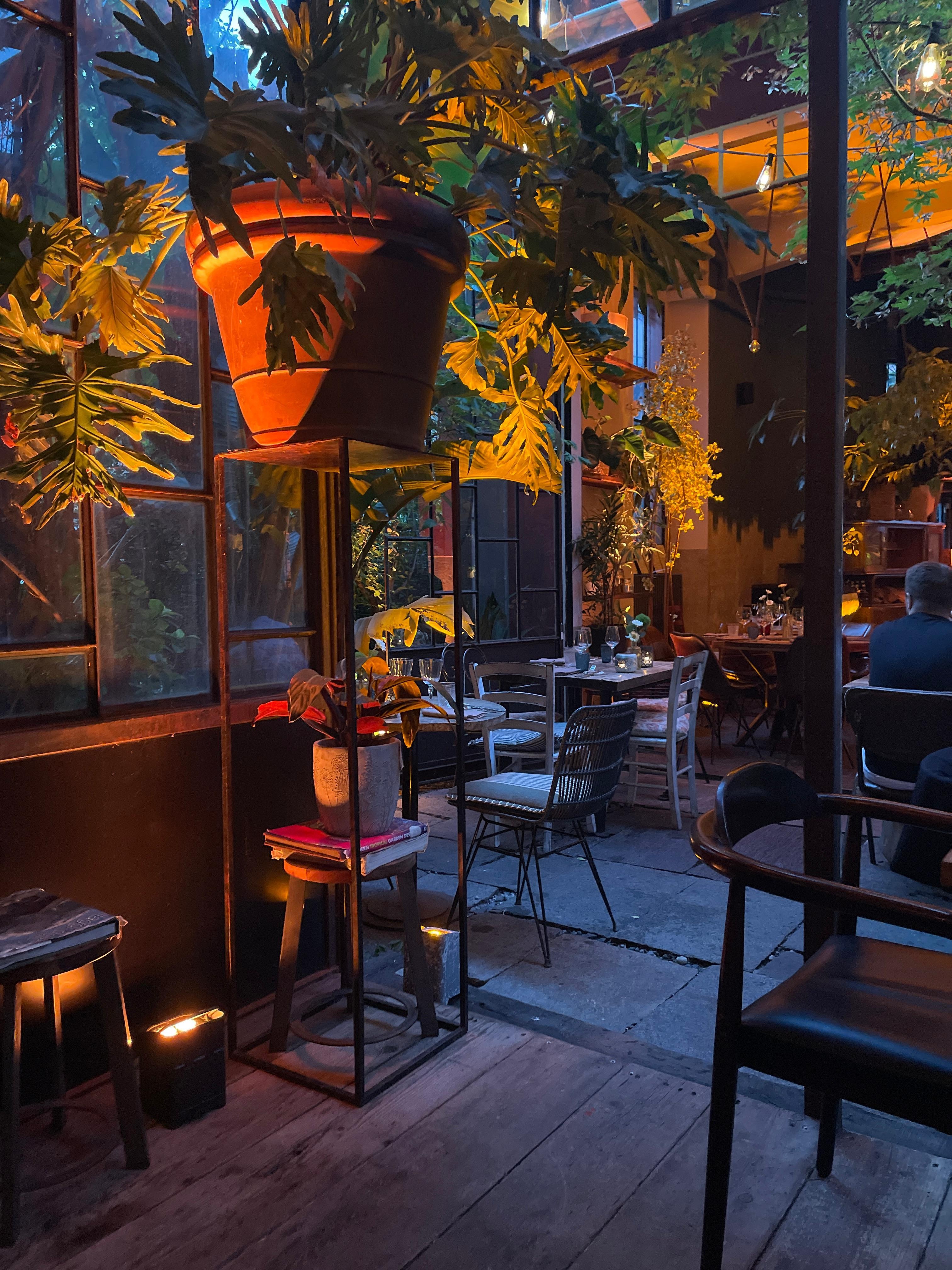 Next door garden restaurant