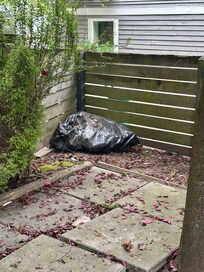 Garbage in yard