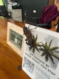 Greeting us at check-in