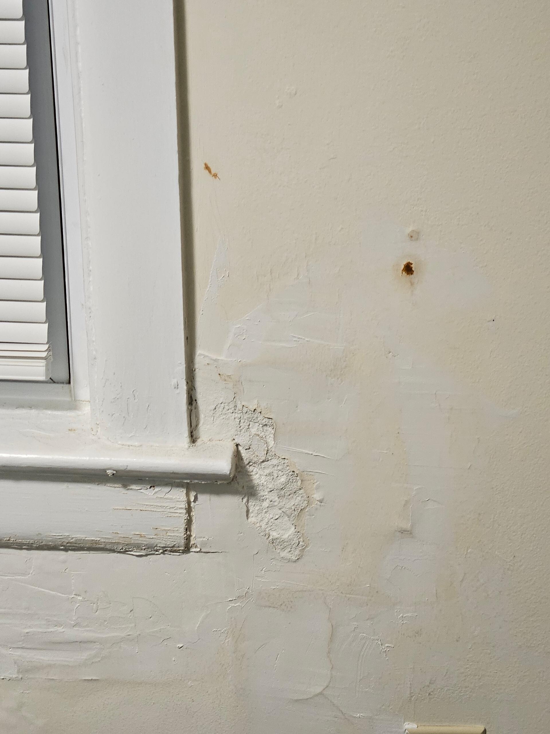 This is the best part of the room. Couldn’t even see out of the windows they were so grimey!