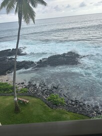 Regrettably we didn’t see any turtles.