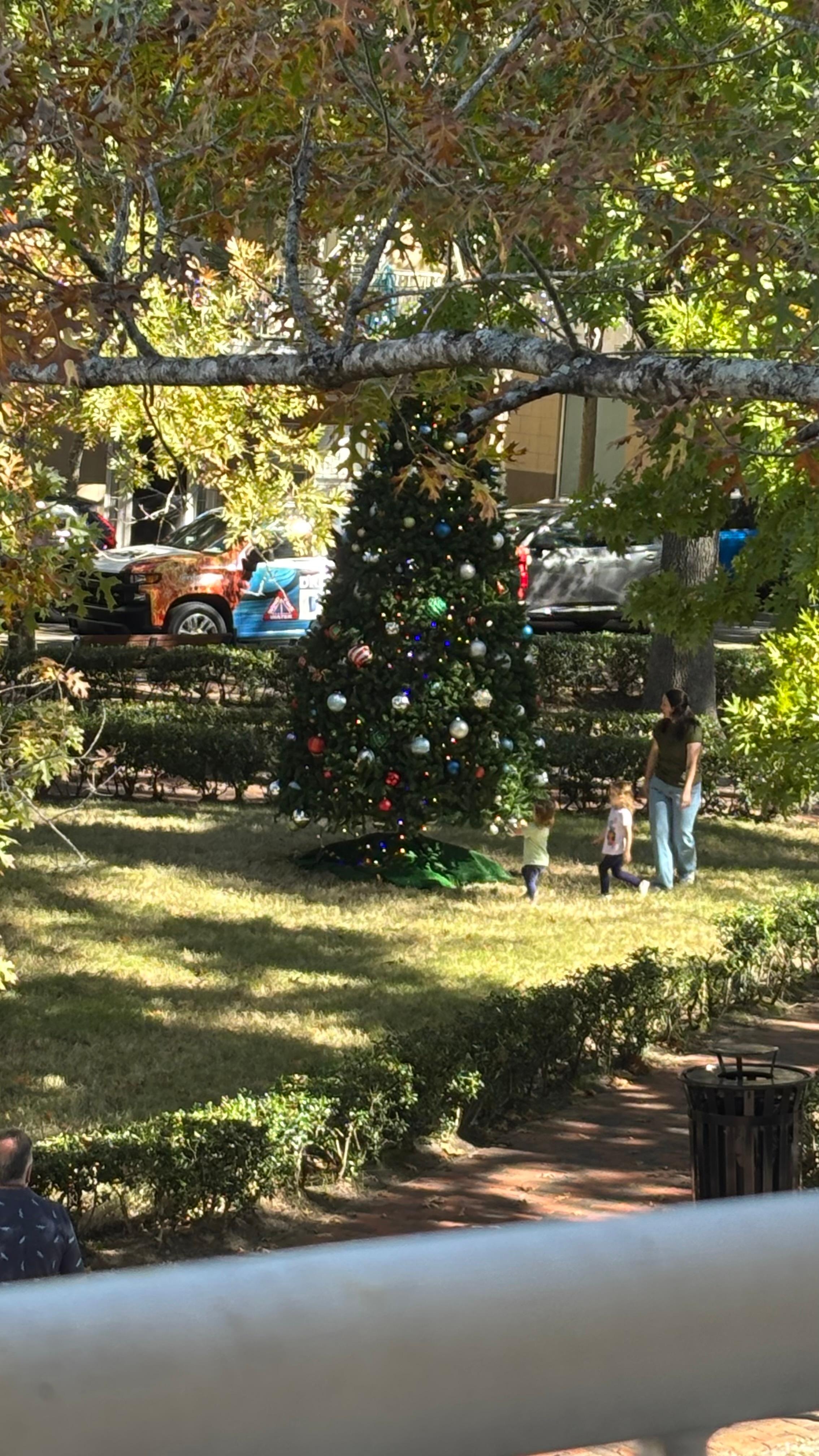 Christmas tree in the piazza. 