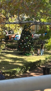 Christmas tree in the piazza.