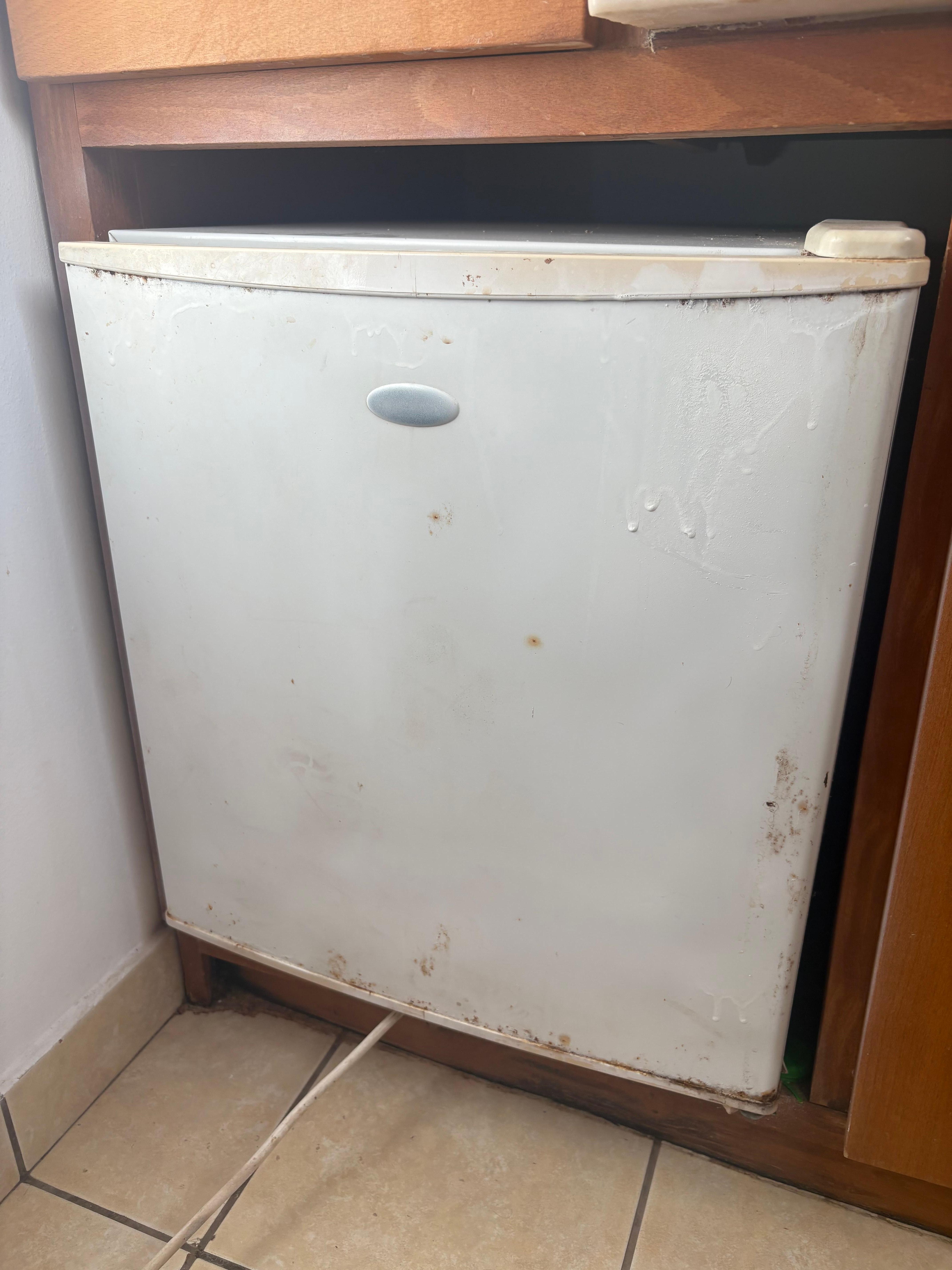 Filthy fridge