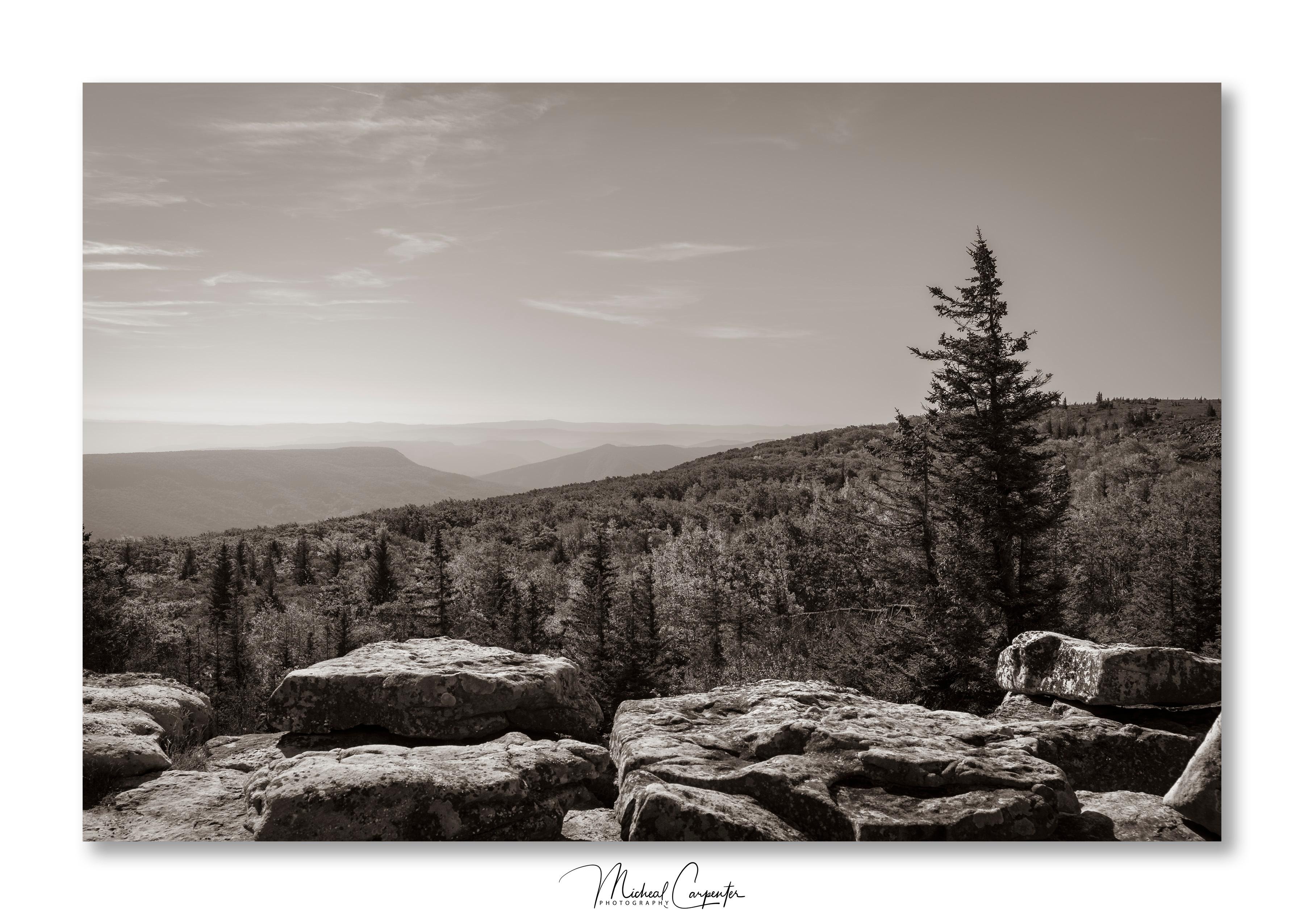 Dolly Sods - Bear Rocks.