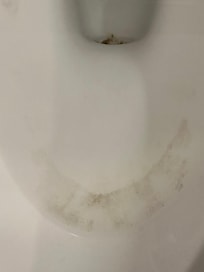 Way the toilet looked