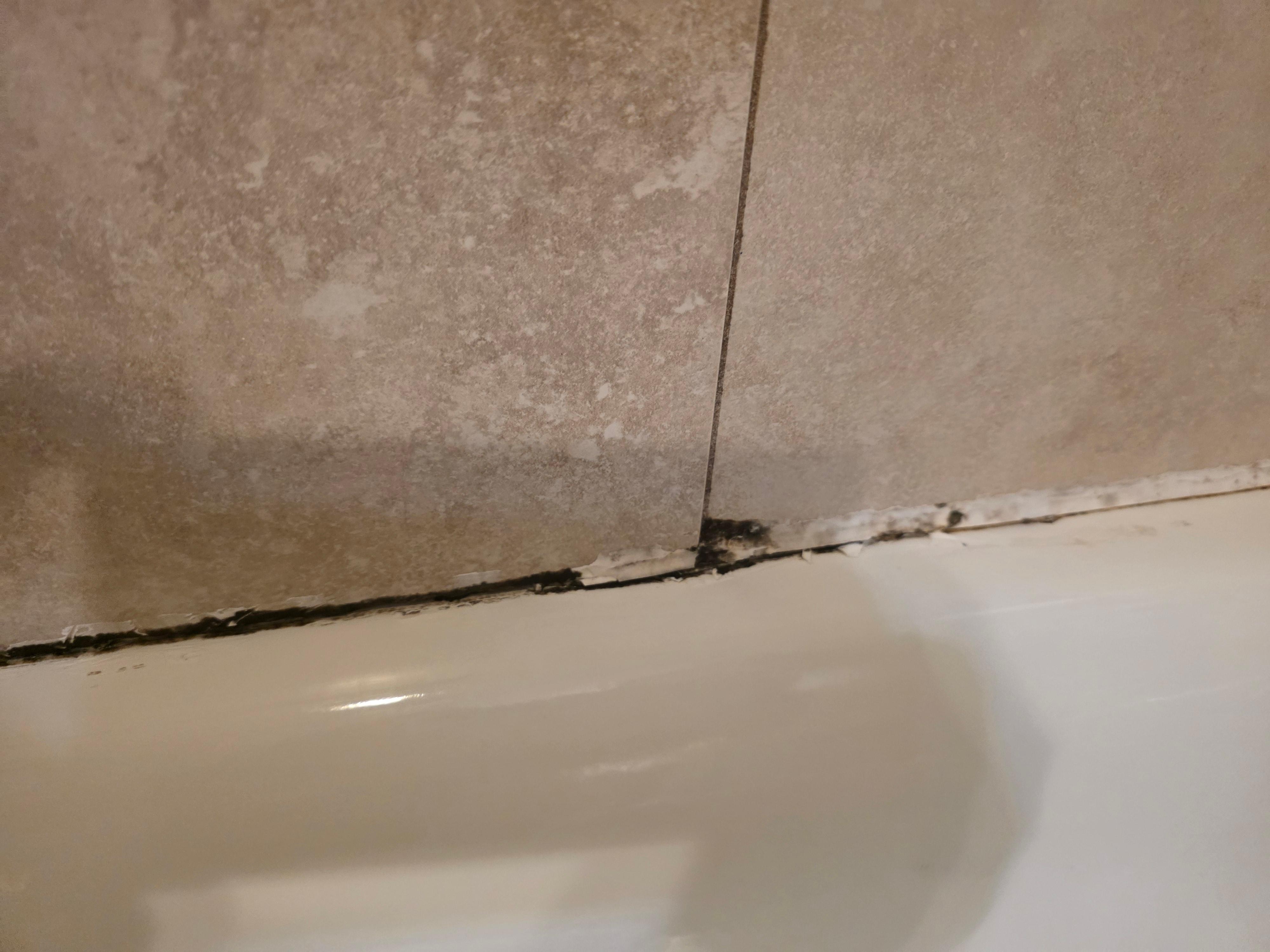 Mold