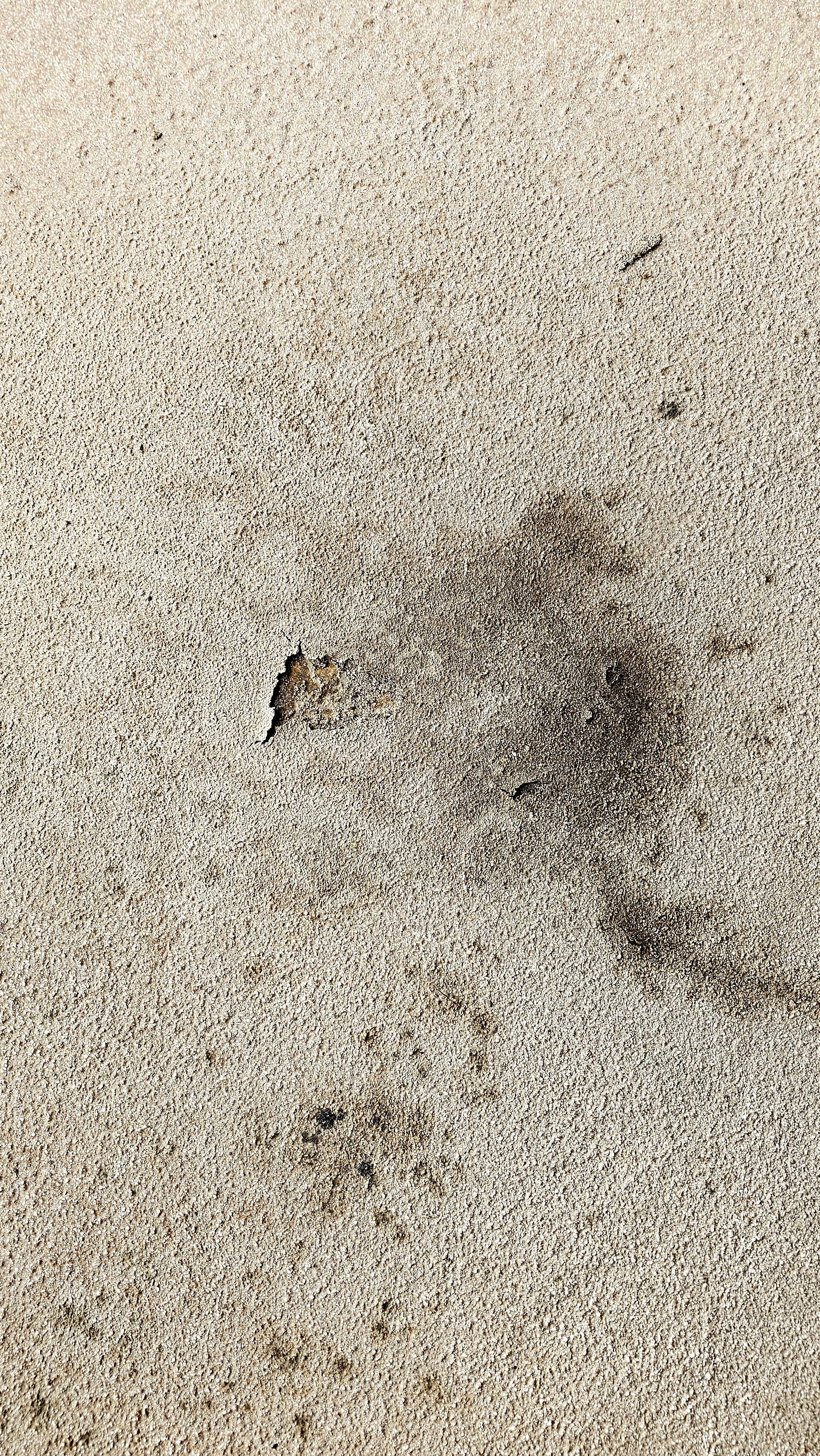 Decayed and Moldy Balcony!