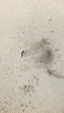 Decayed and Moldy Balcony!