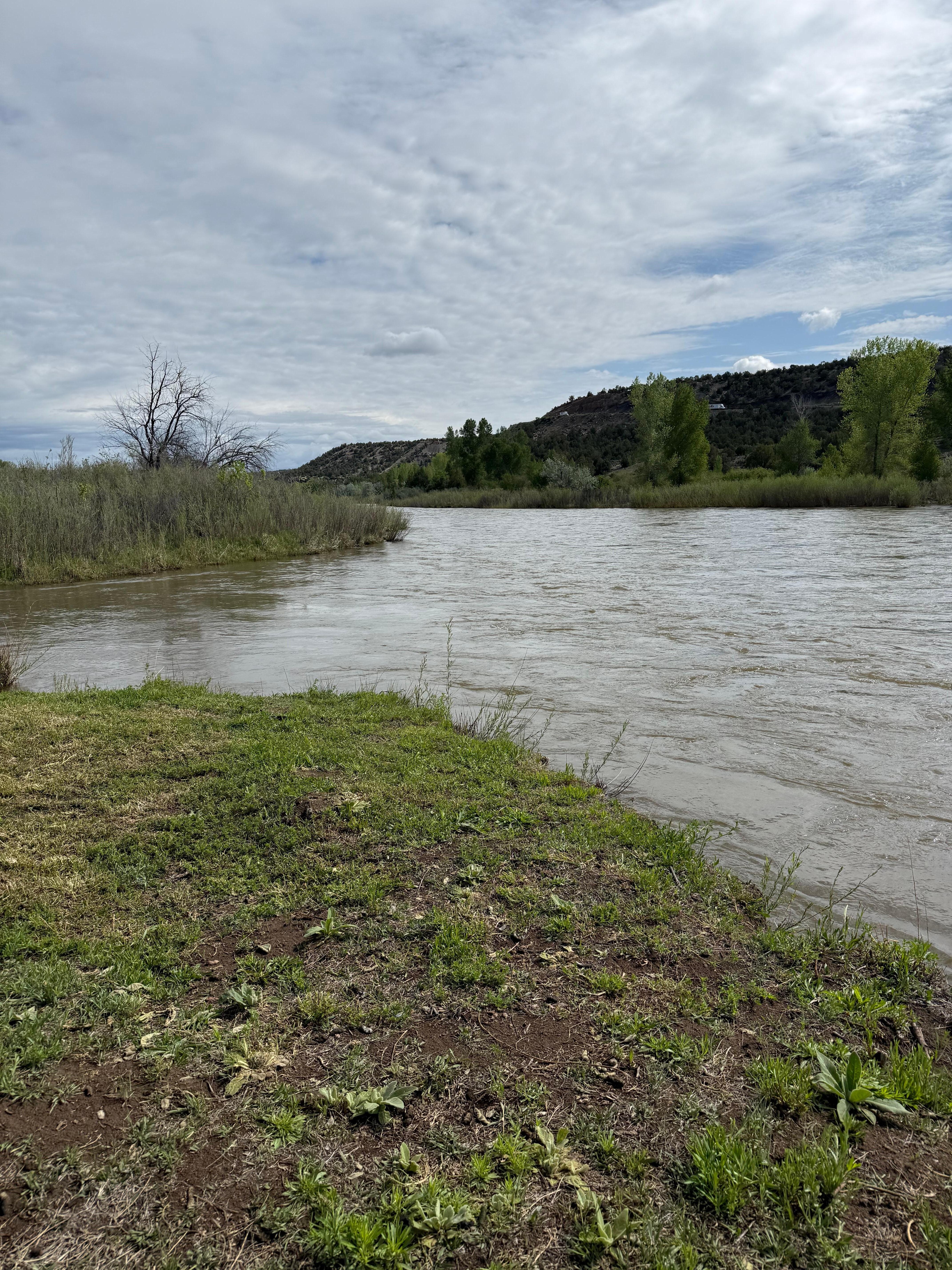 River’s edge at bottom of path