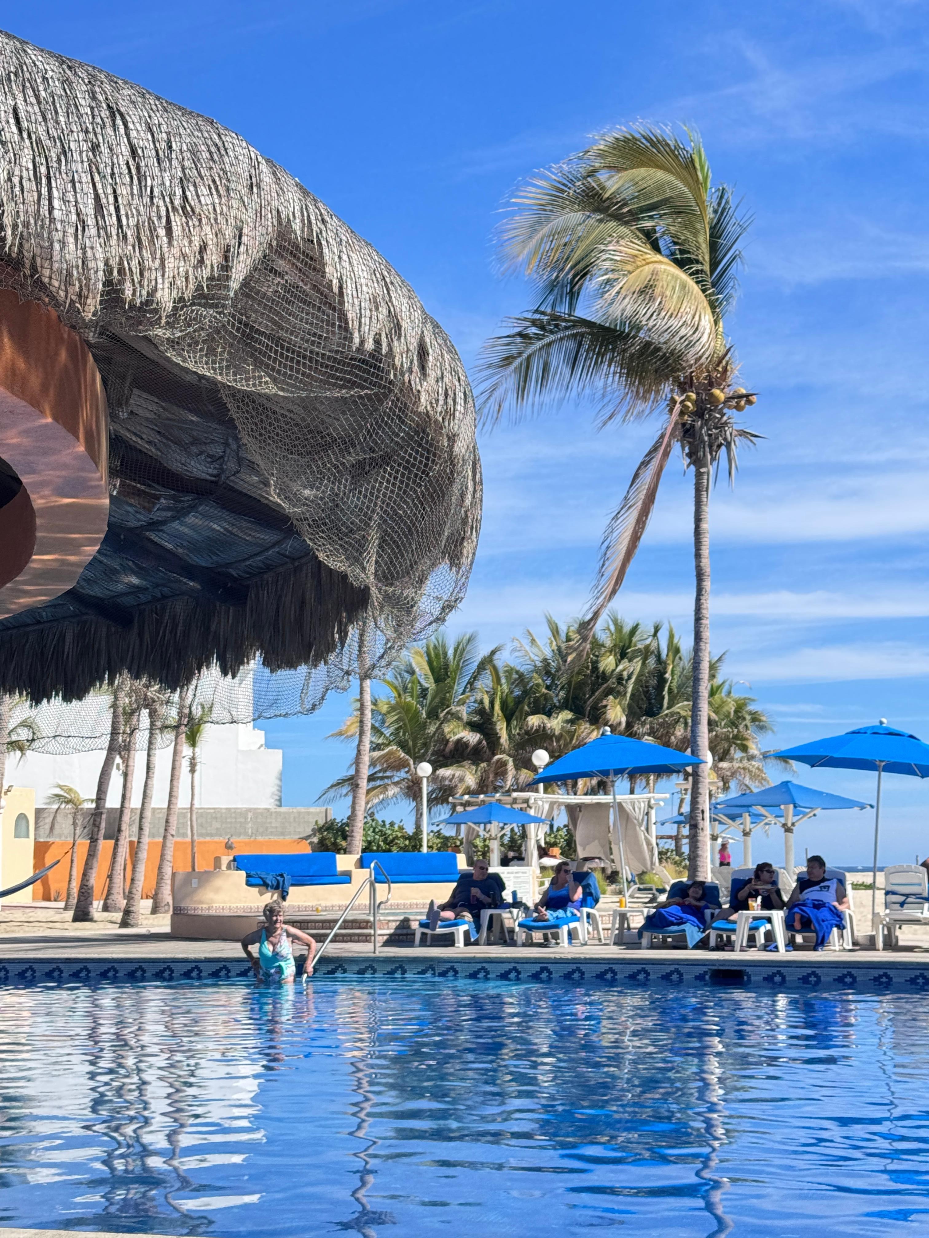 Graceful palms near the massage and hammock area.