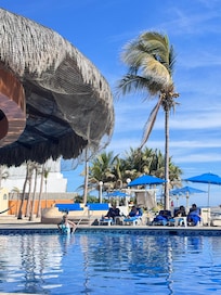 Graceful palms near the massage and hammock area.
