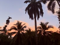 Sunset near the beach house.