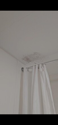 Mould across the whole ceiling