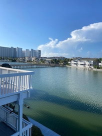 Cool view