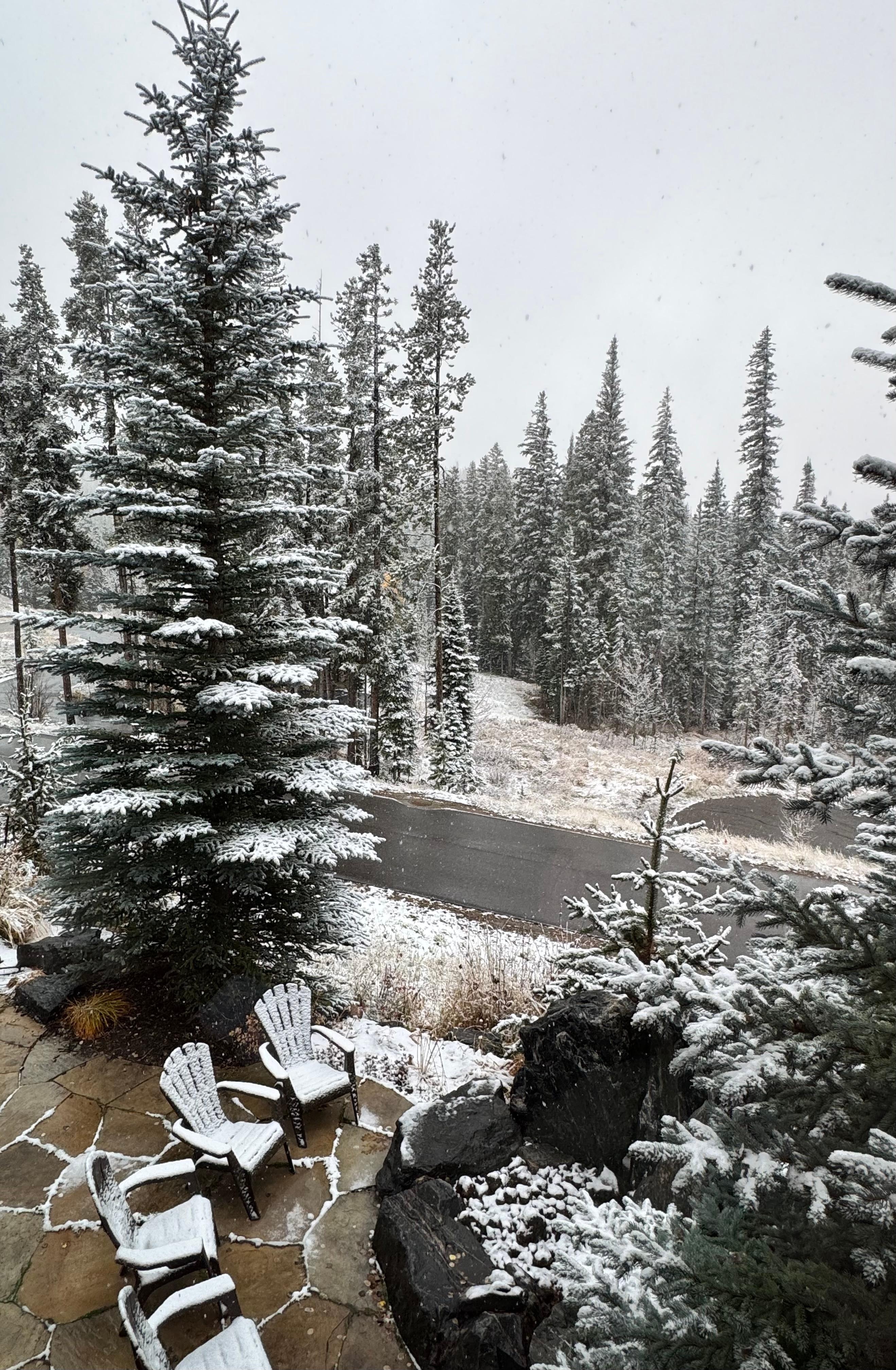 A surprise dusting of snow was beautiful.  ❄️ 