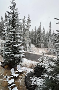 A surprise dusting of snow was beautiful. ❄️