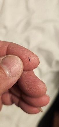 Not sure if this is a bed bug but I took a picture thru Google and it confirmed it