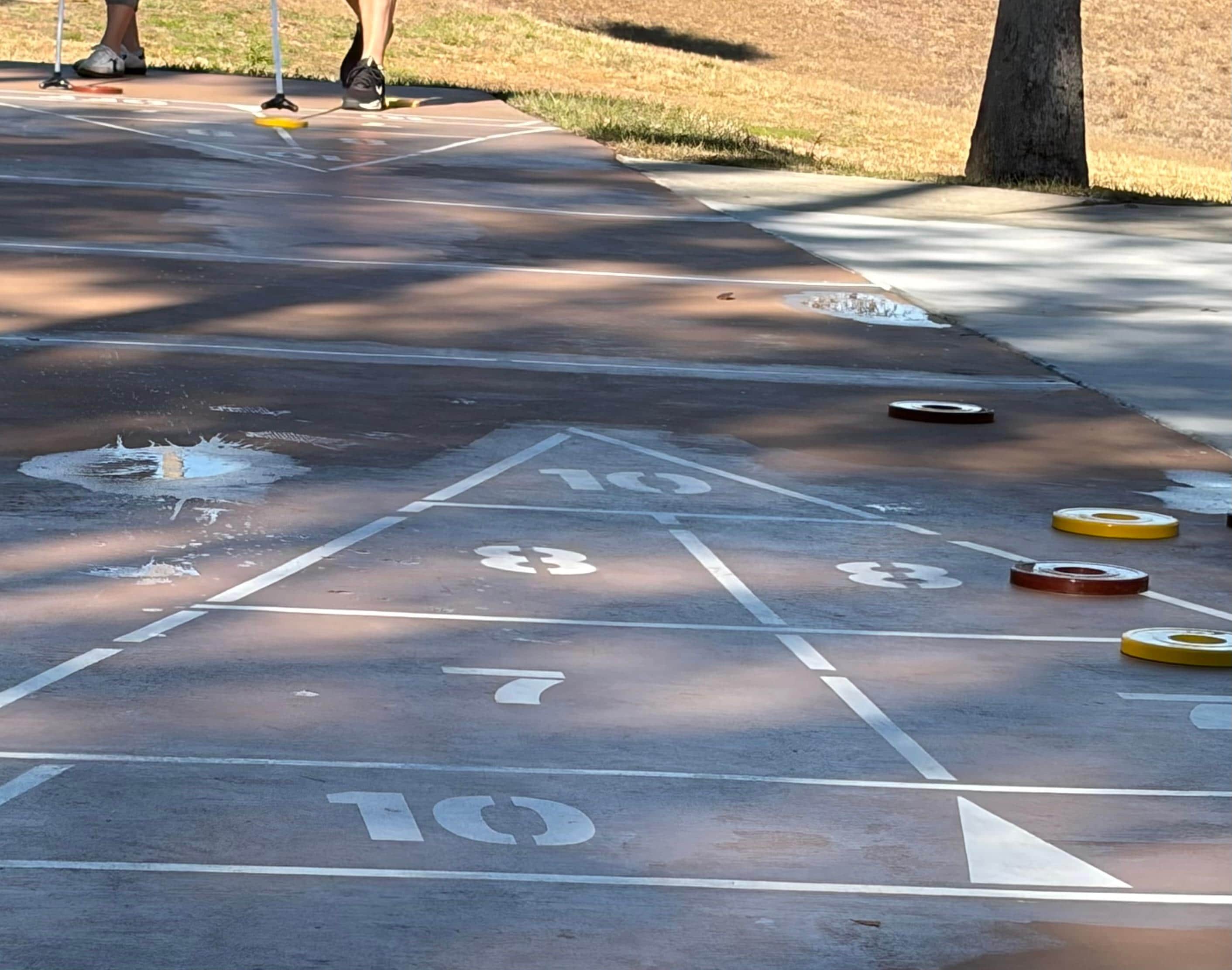 Played shuffleboard at the clubhouse