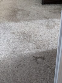 Bedroom carpet