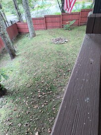 Fenced in front yard