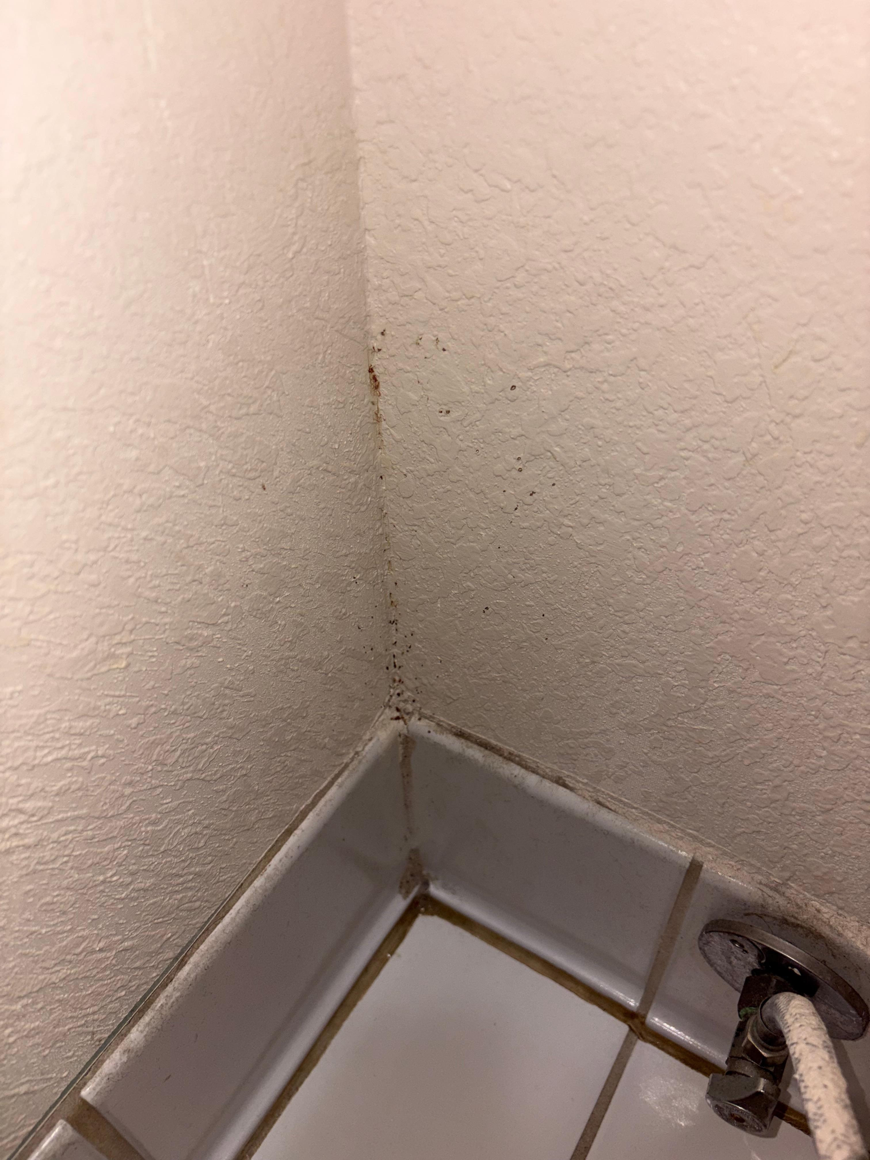 Dried substance in the bathroom 