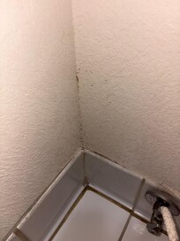 Dried substance in the bathroom