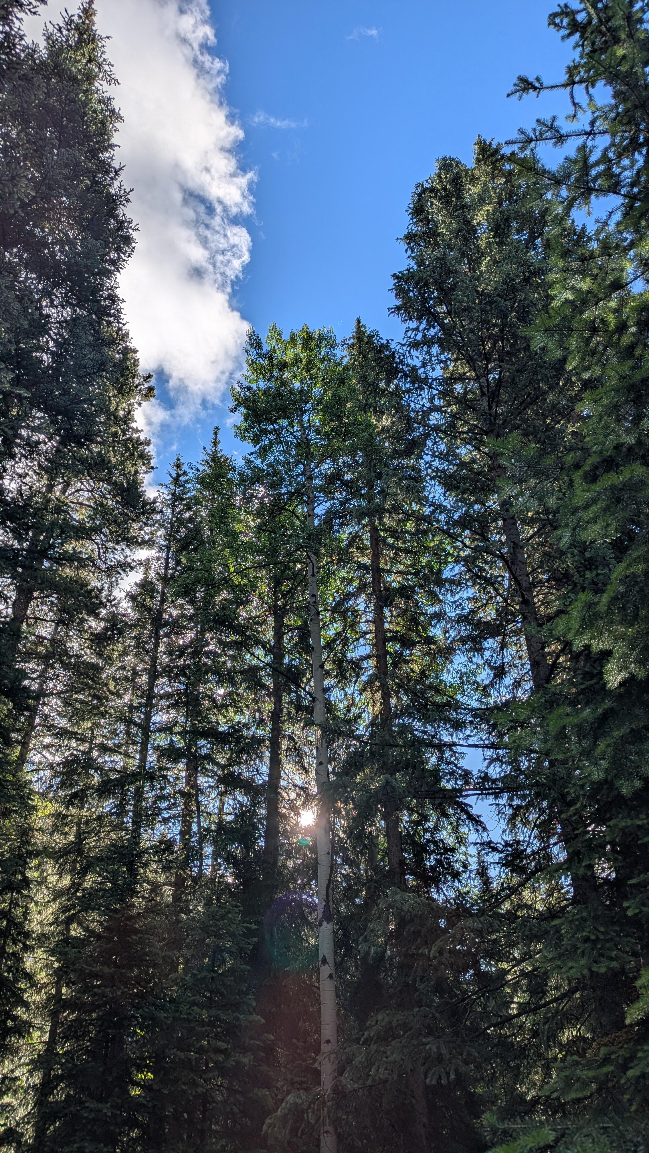 Each morning my wife and I sat on the deck, drank our coffee and said our morning prayers to this view.