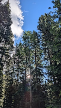 Each morning my wife and I sat on the deck, drank our coffee and said our morning prayers to this view.