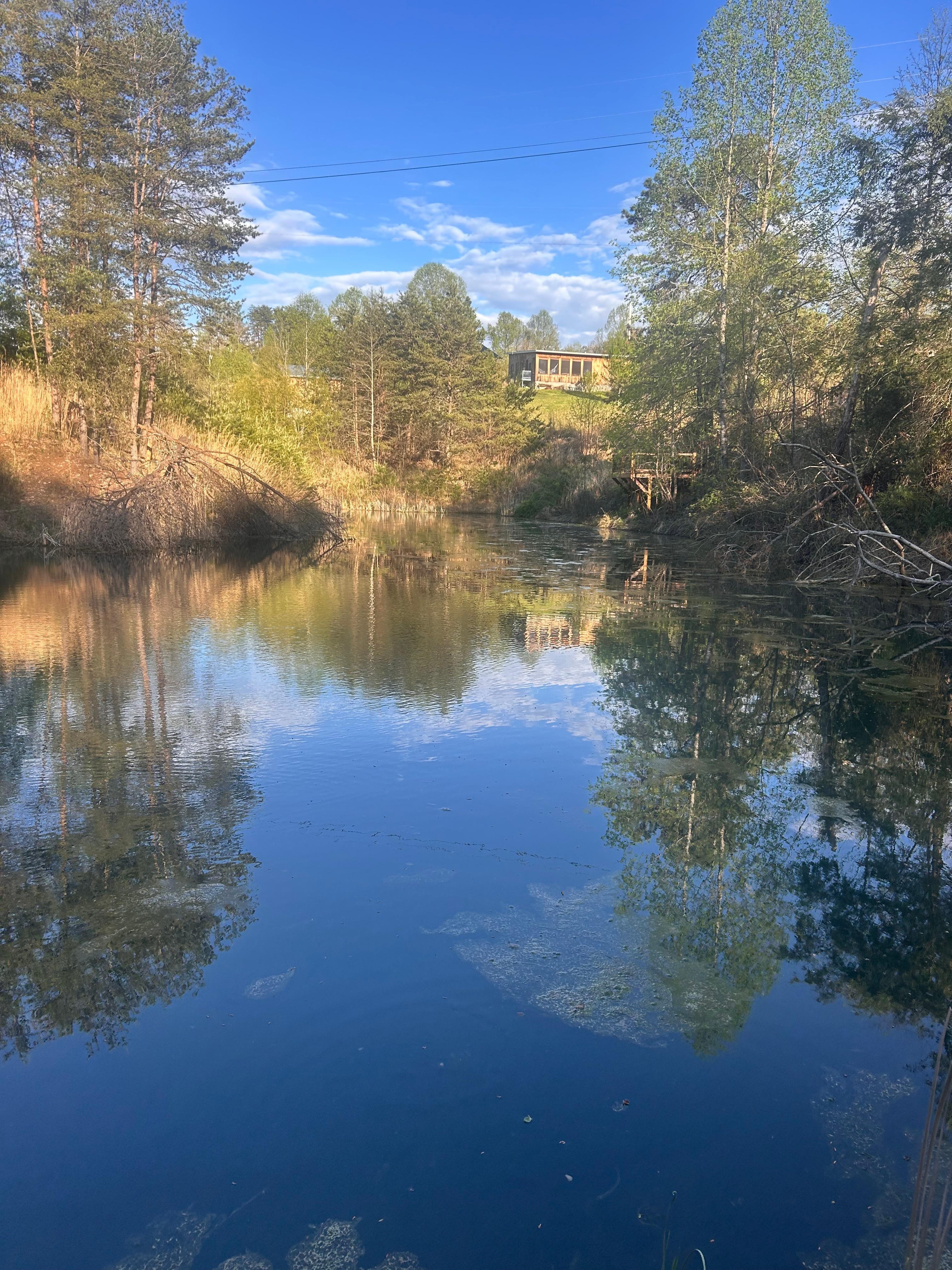 Pond in the back of the house