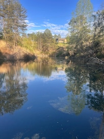 Pond in the back of the house