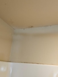 Mold in the shower