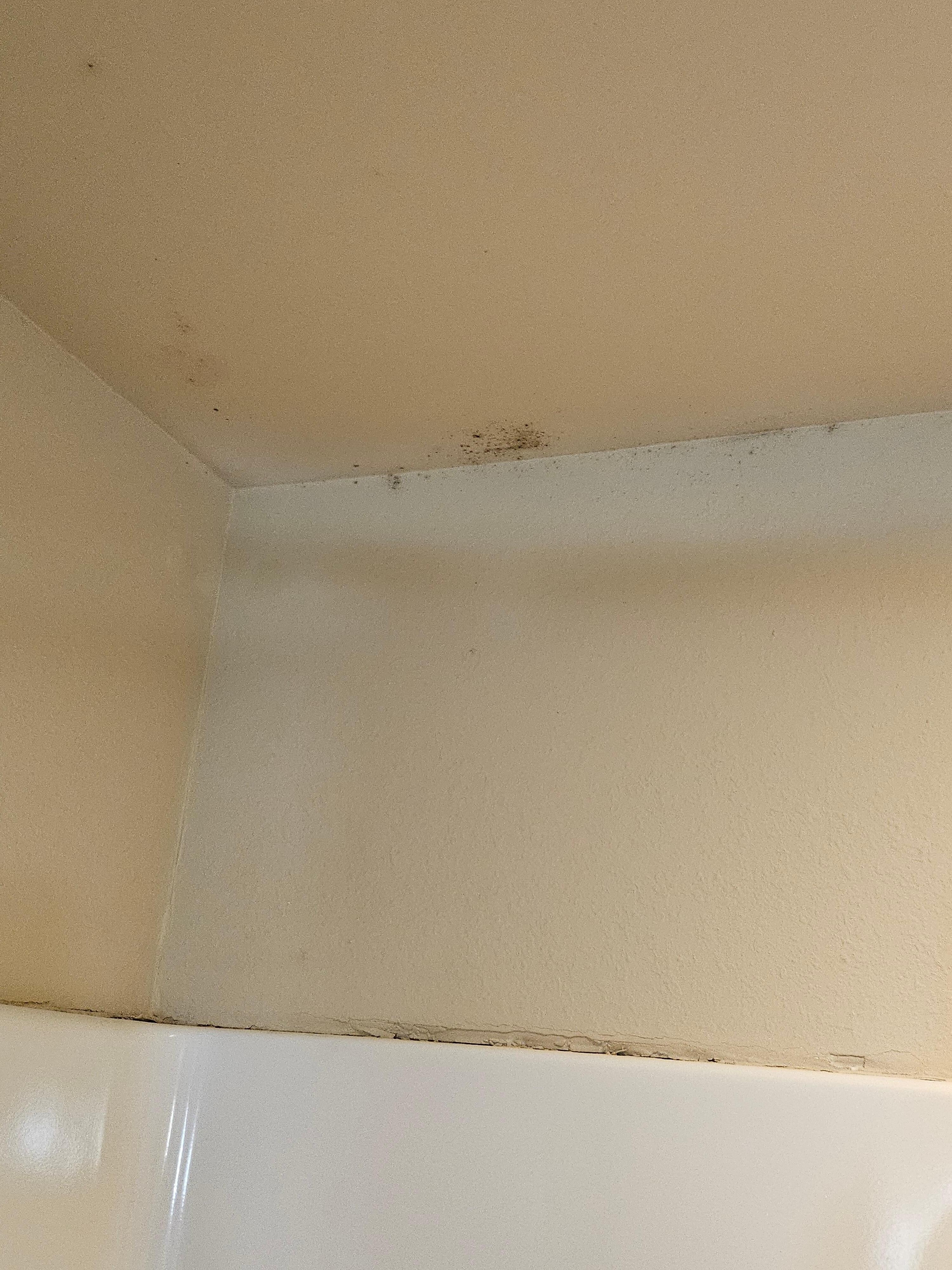 Mold in the shower
