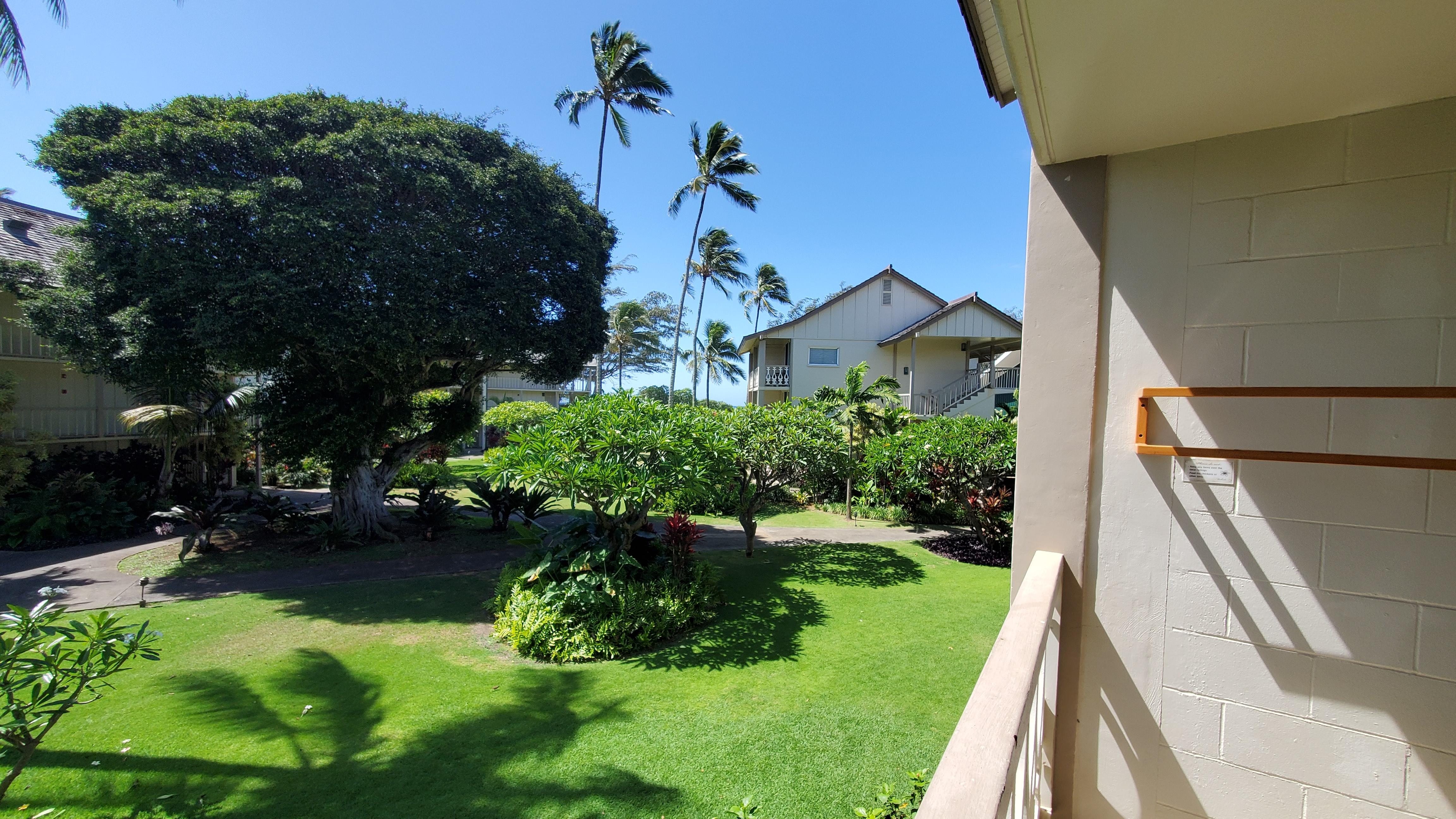 Beautiful grounds but...partial ocean view?