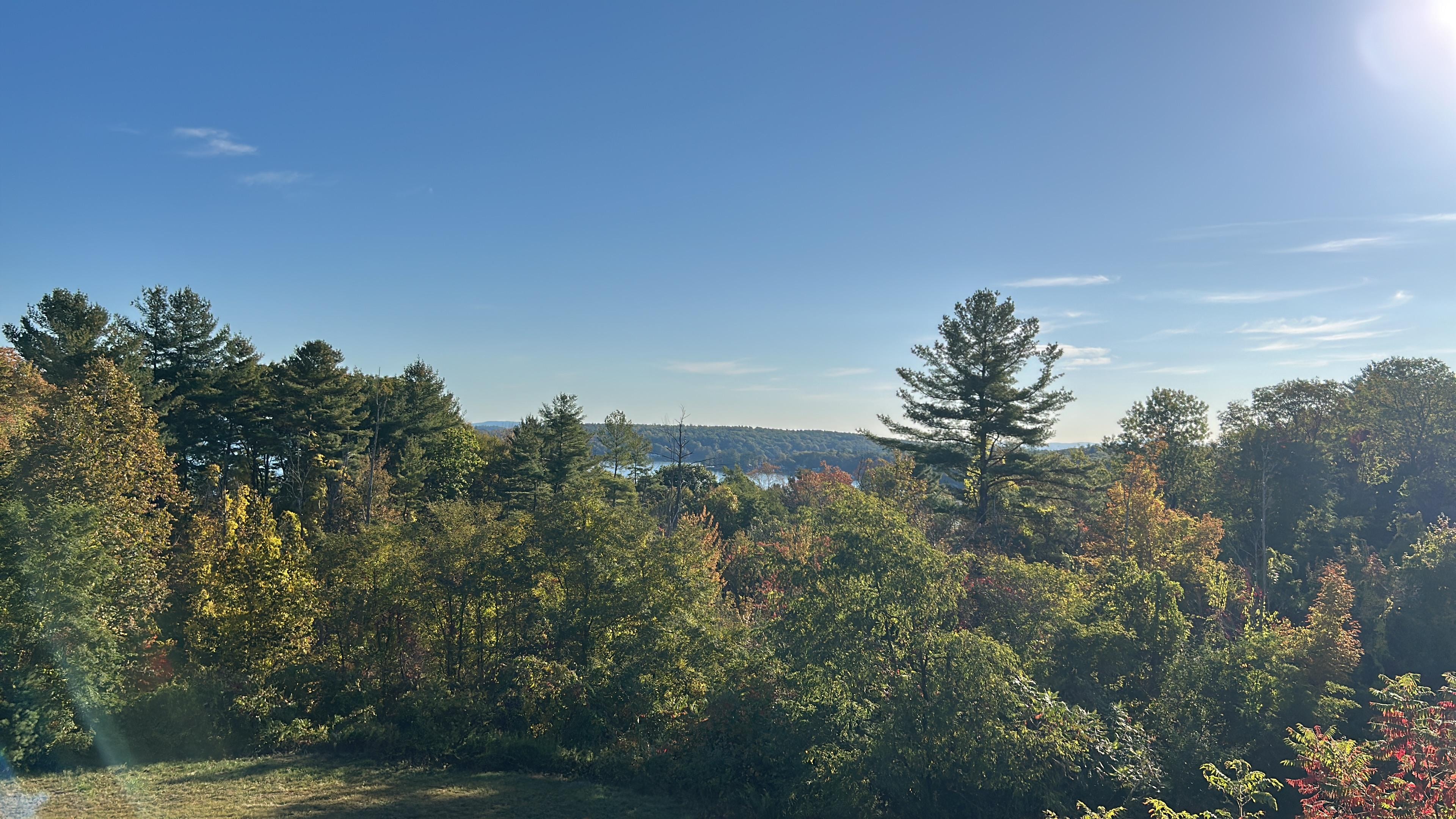 View out of the Twin bed room!