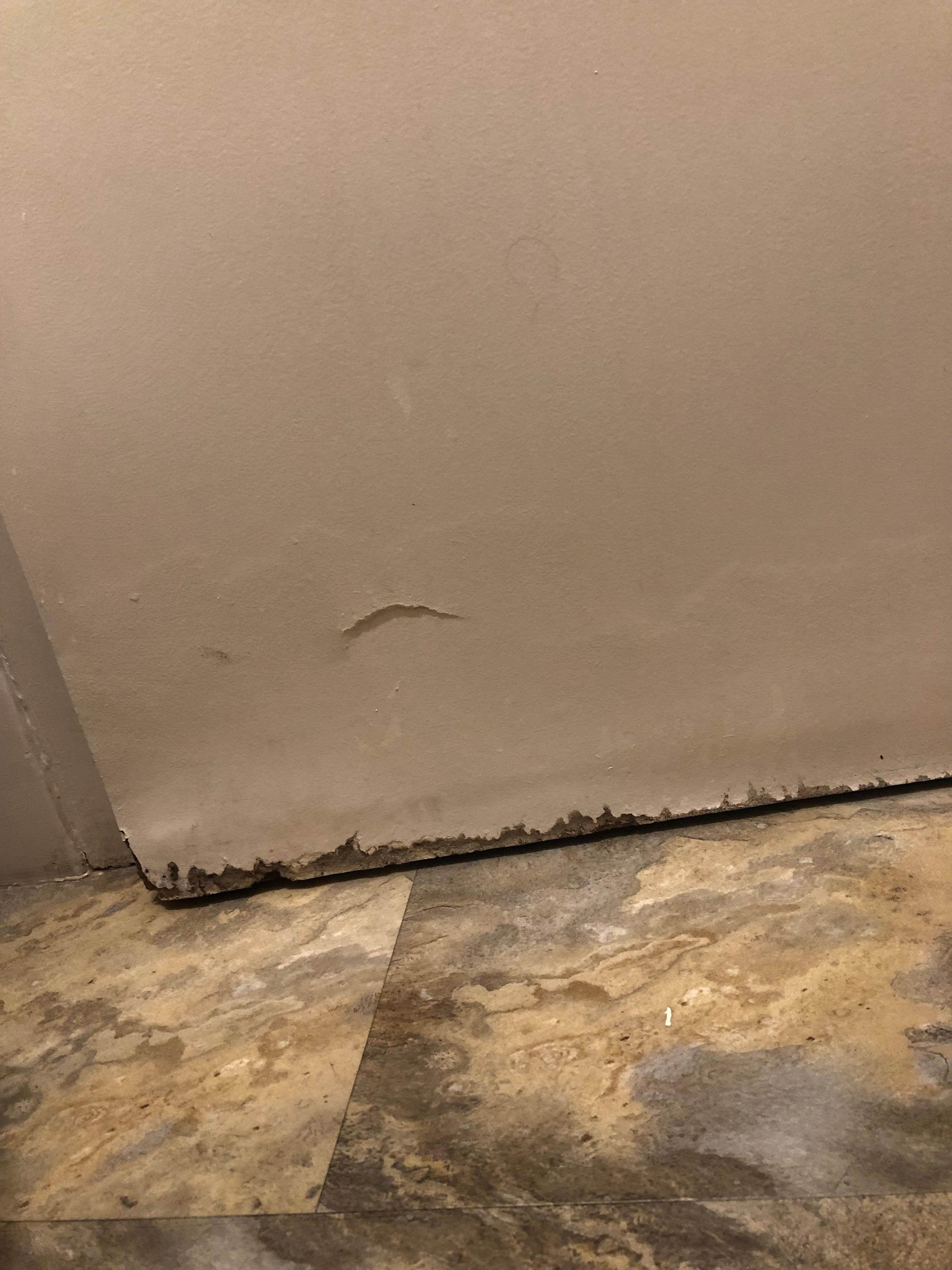 Interior of bathroom door moldy and rotten.