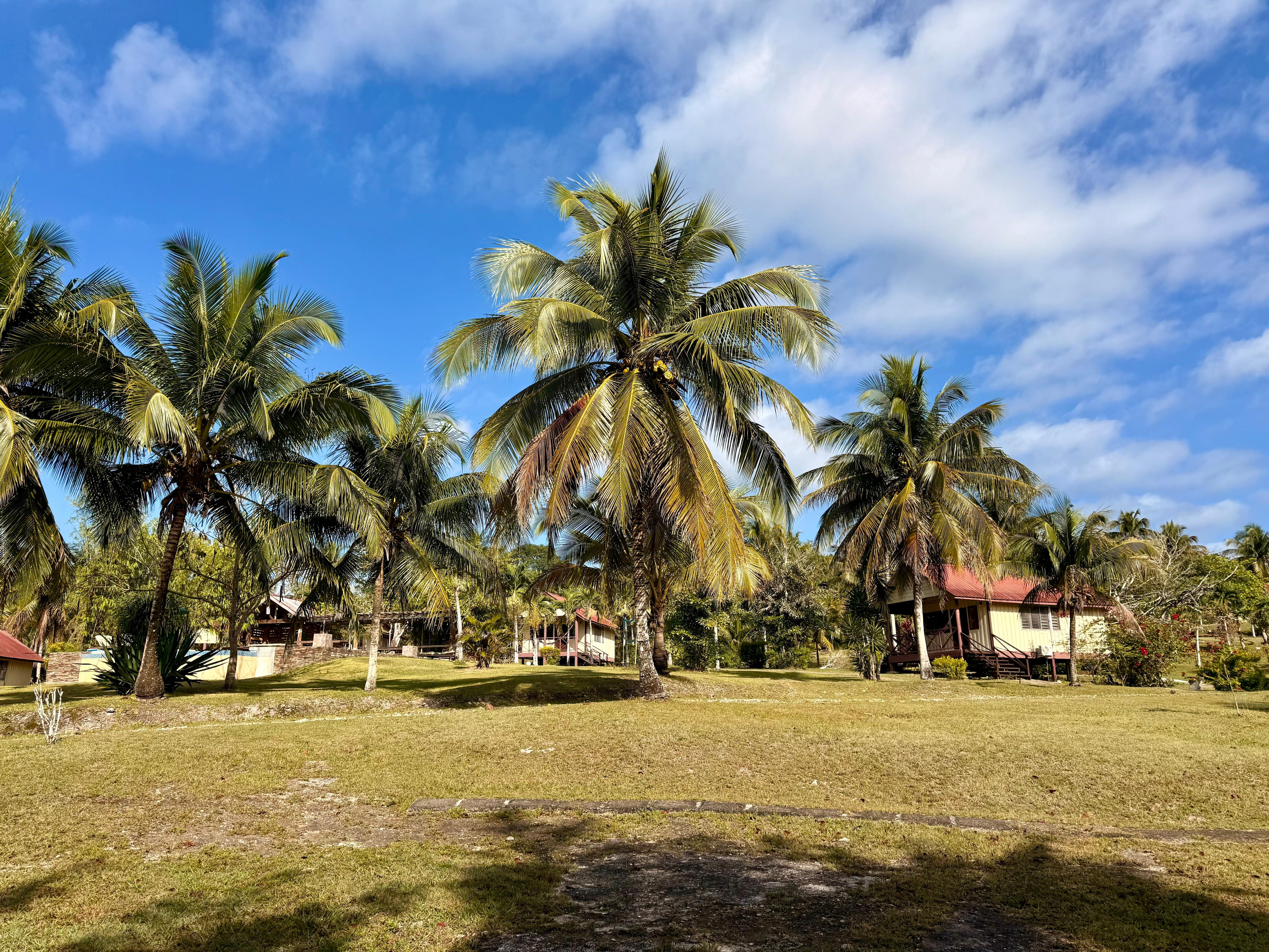 View of part of the property 