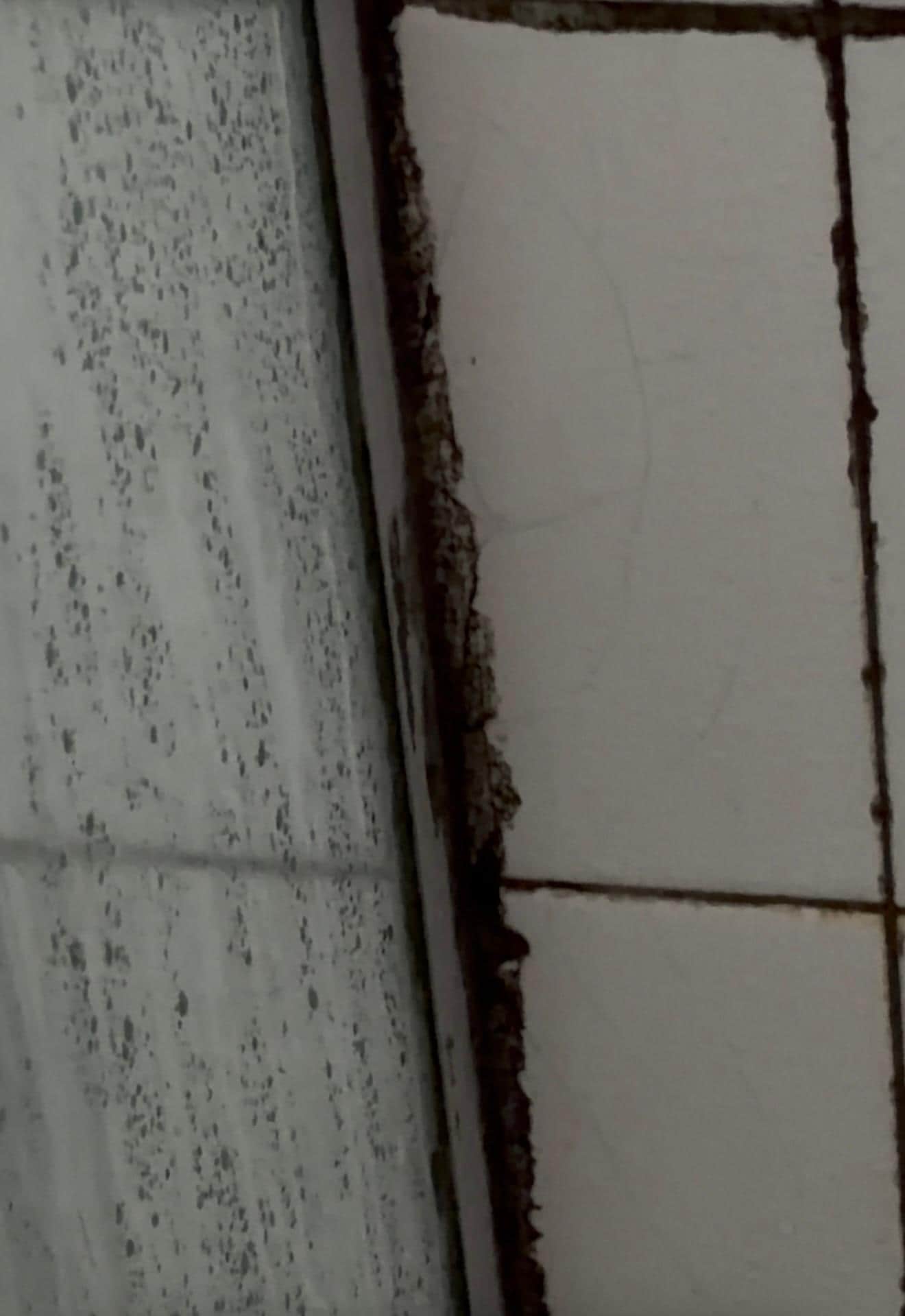 Mofo e Lodo  no box do banheiro