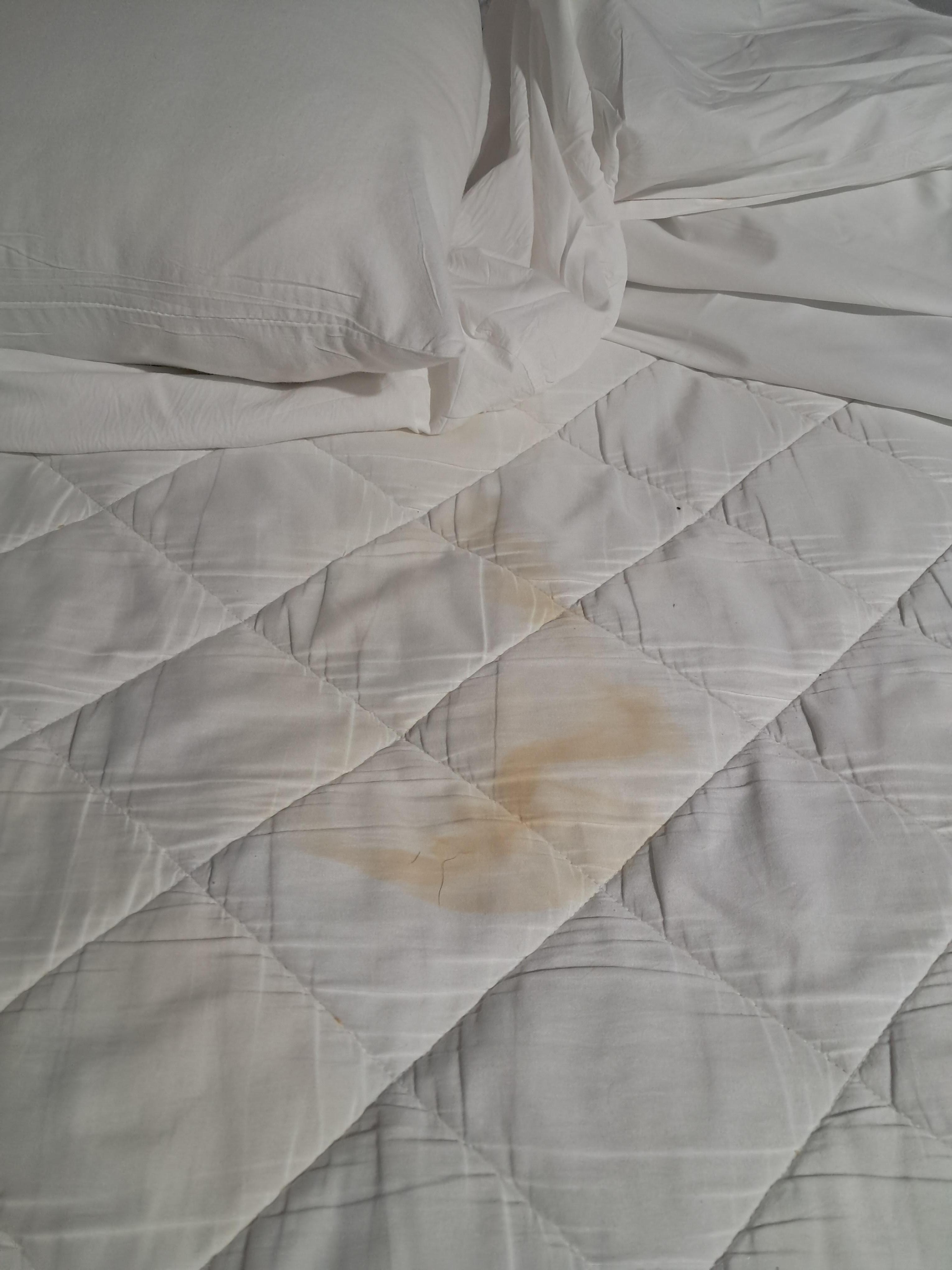 Beds were stained and smelled