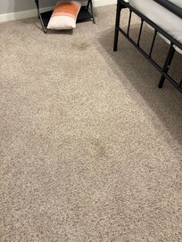 stains on carpet