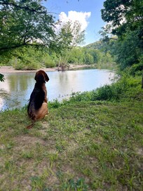 Lou watching the kayakers